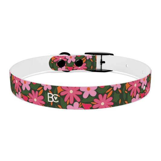 BC Pet Collars 1