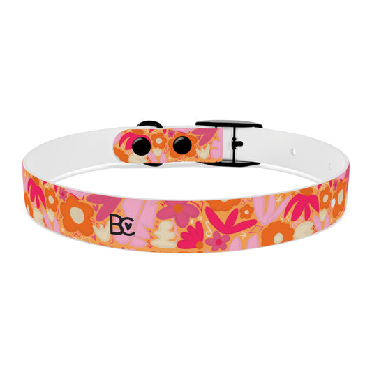 BC Pet Collars 2