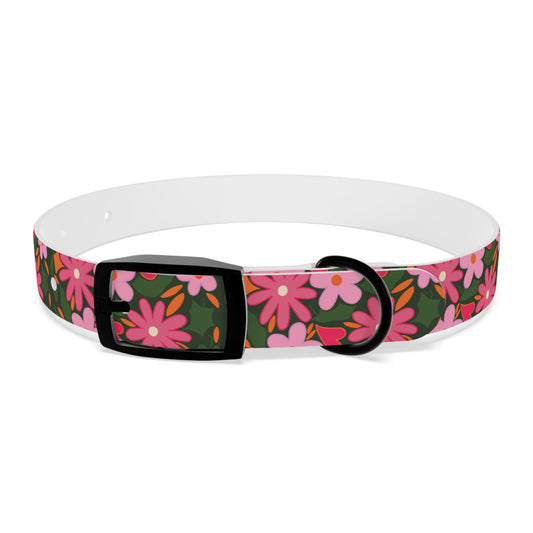 BC Pet Collars 1