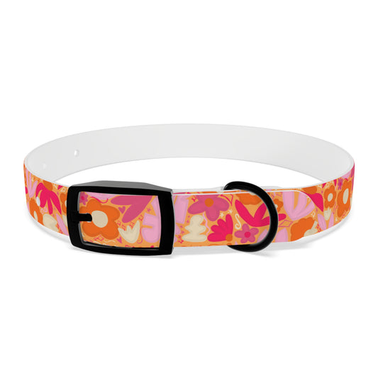 BC Pet Collars 2