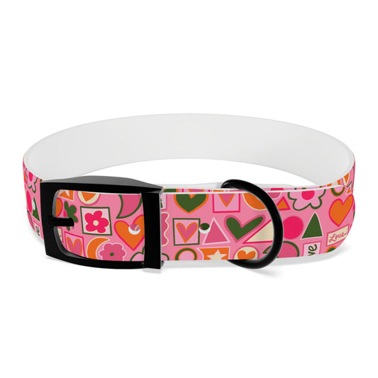 BC Pet Collars 3