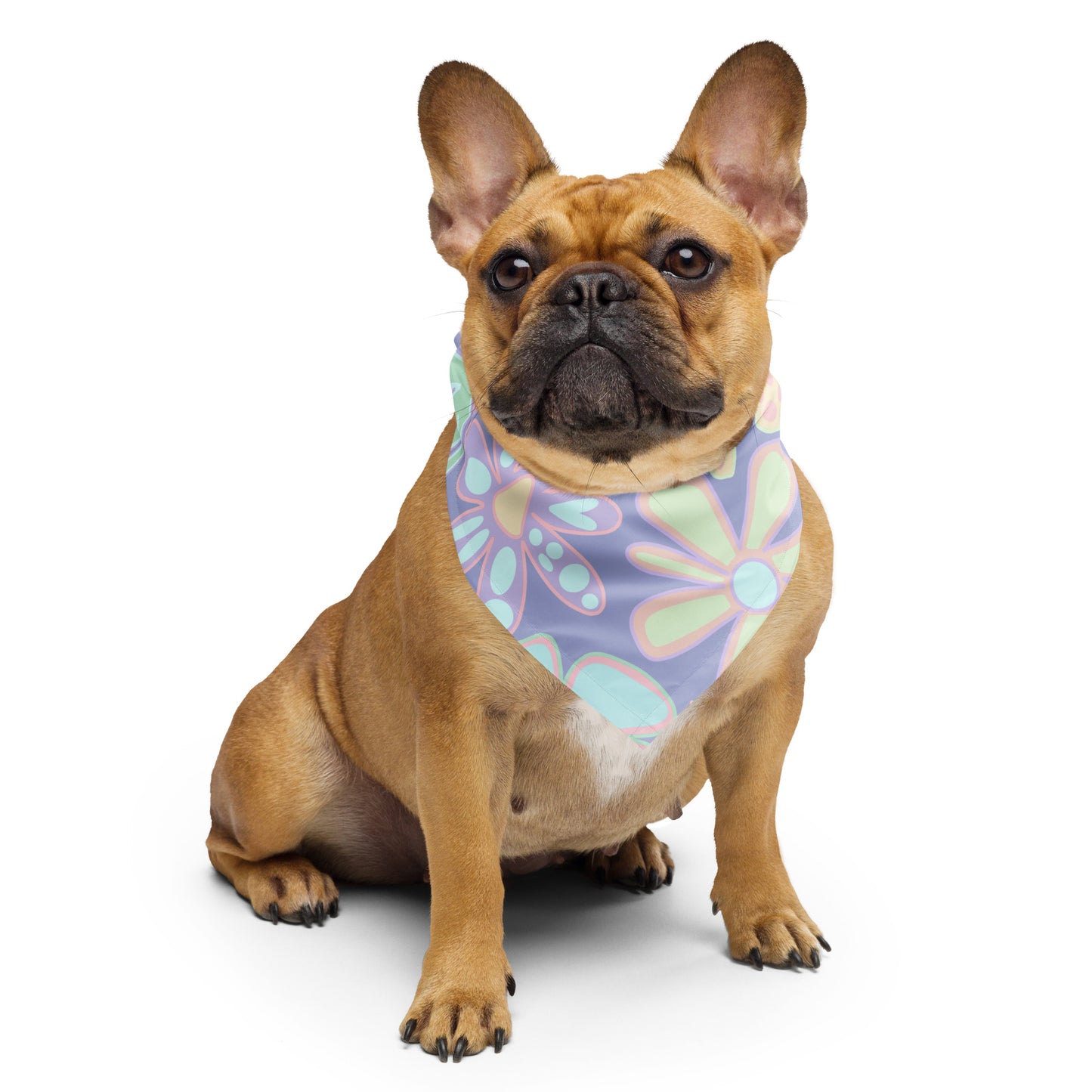 BC Easter Limited Edition Pet/Women bandana